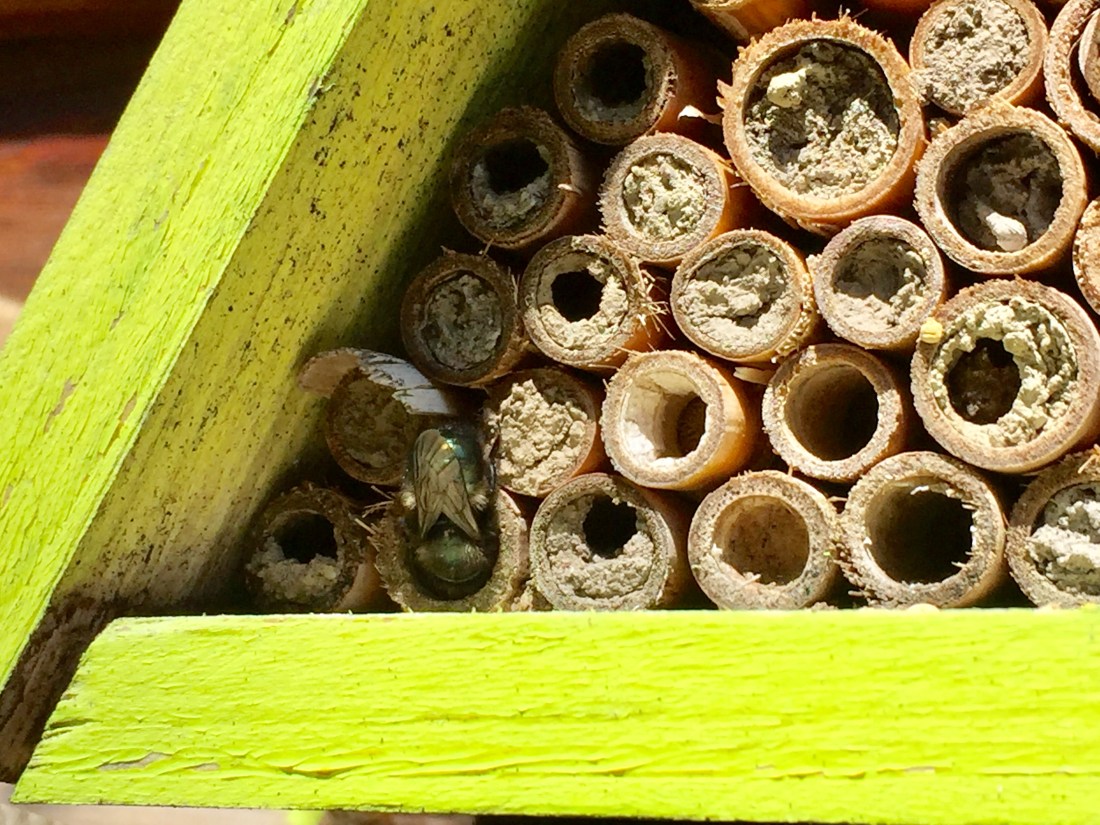 08DFEF83-6F4C-4197-A8F5-D2BFFEA0028A