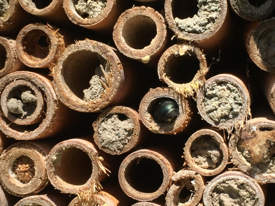 B71B3F4C-38E3-497F-B434-53FC22875C34